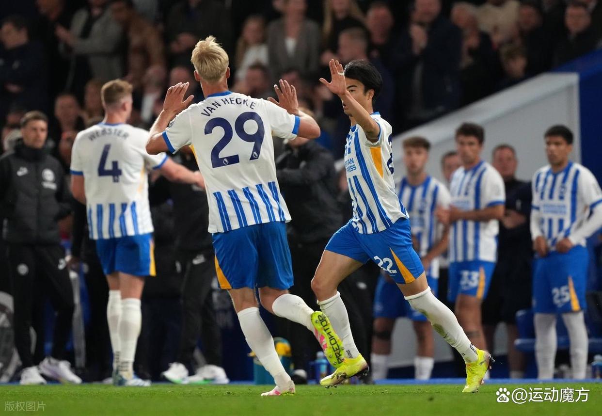 布莱顿主场不敌对手,战绩下滑 布莱顿主场不敌对手,战绩下滑