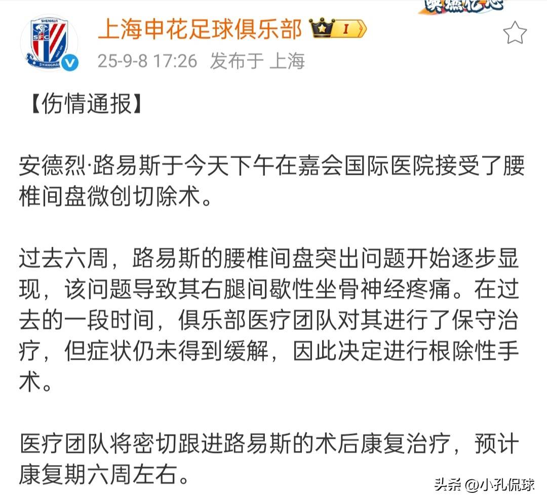 上海申花客场一球负于辽宁沈阳,遭遇钱袋的简单介绍 上海申花客场一球负于辽宁沈阳,遭遇钱袋的简单介绍